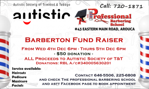 Barberton flyer